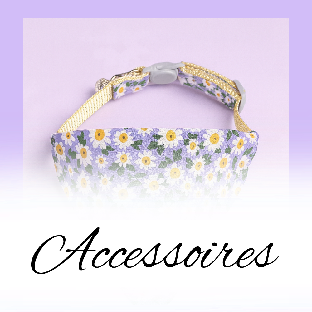 Accessoires