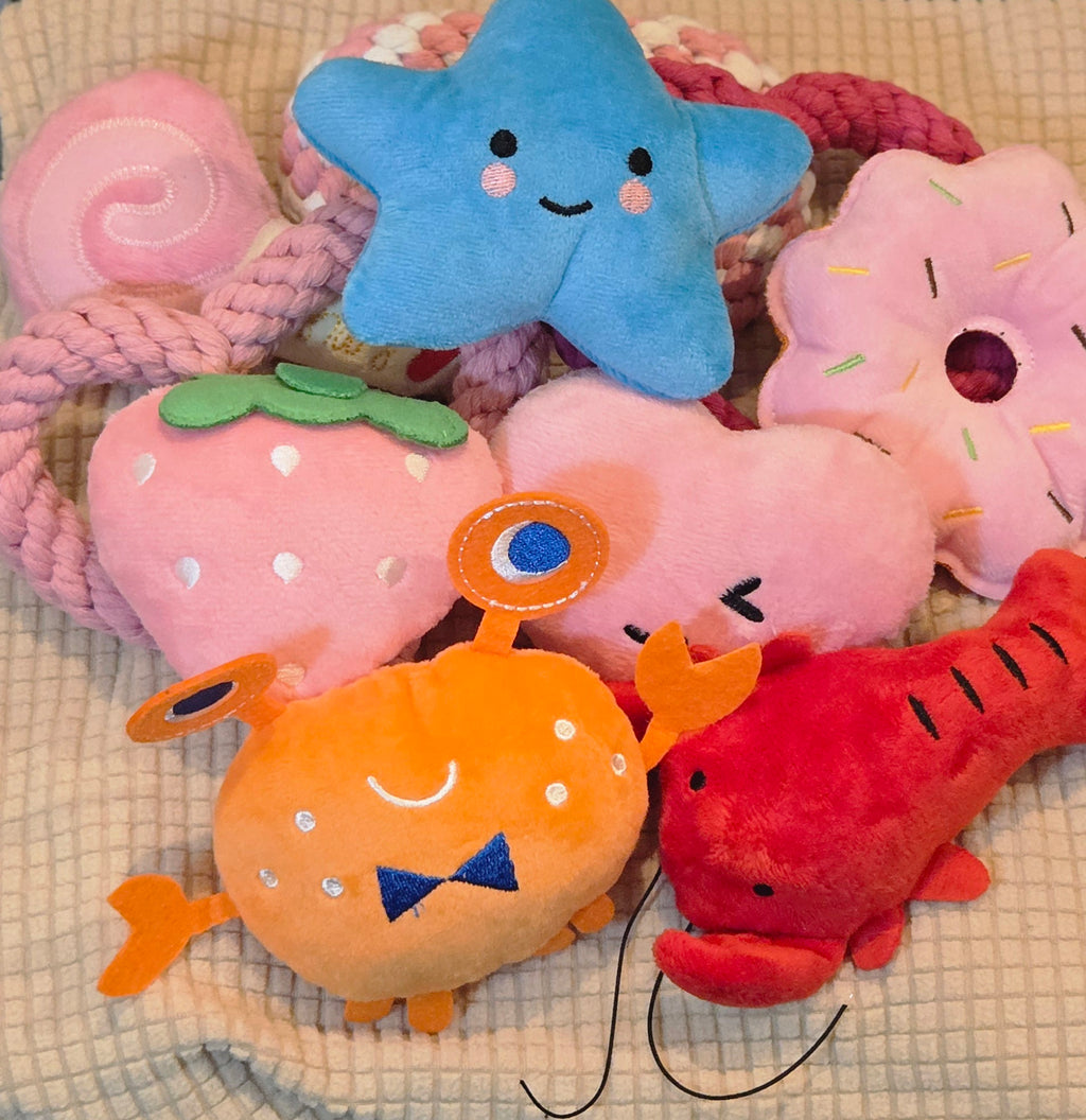 Box Découverte Beauté Canine