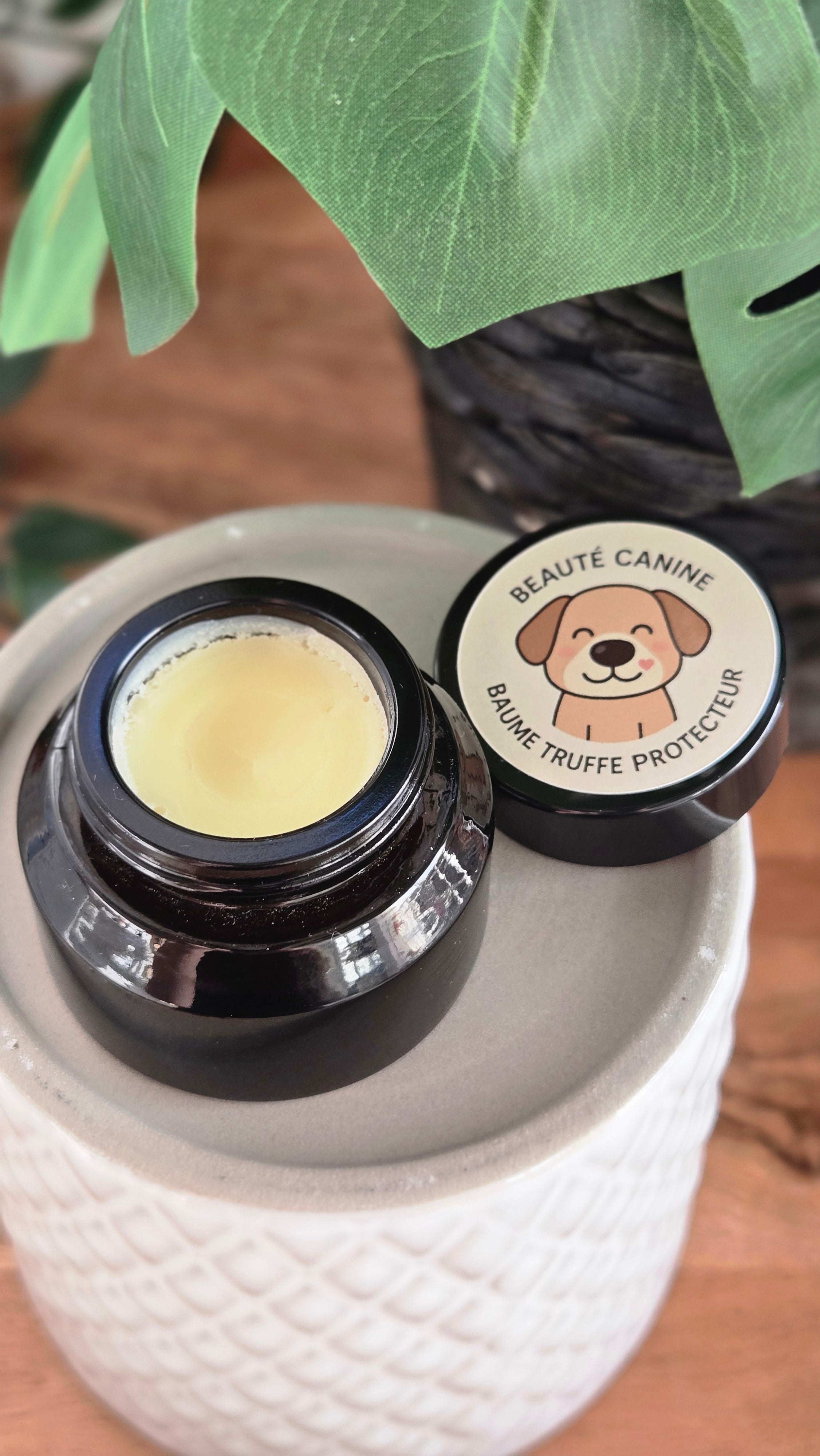 Baume truffe protecteur 30g